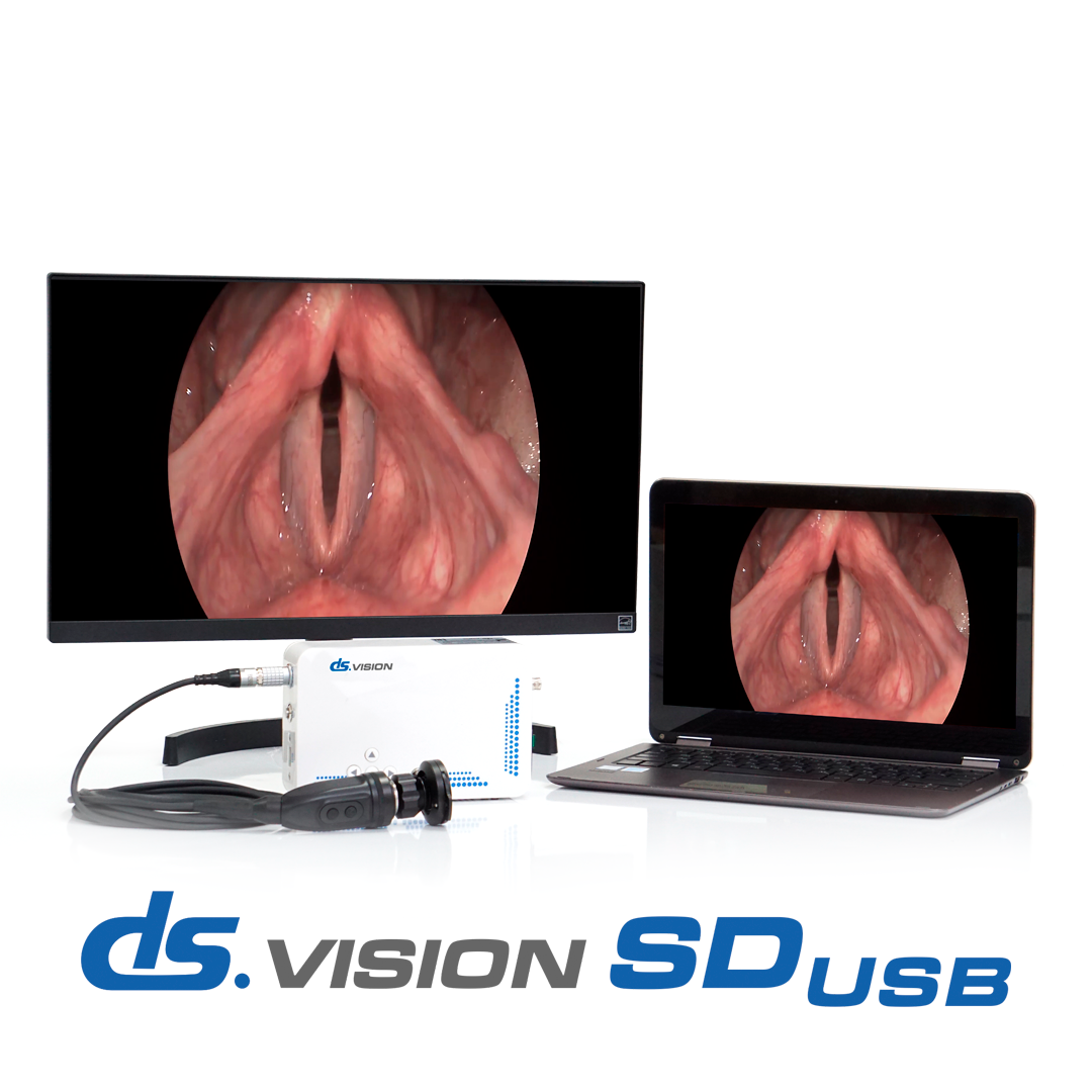 Портативная система эндоскопической визуализации DS Vision SD USB
