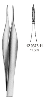 Feilchenfeld Splinter Fcps 11.5cm