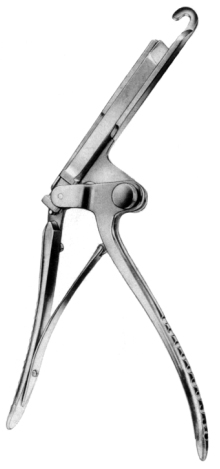 Sauerbruch Frey Rib Shear 36cm