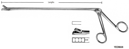 Yeoman Rectal Biopsy Specimen Fcps Fig.4 28cm