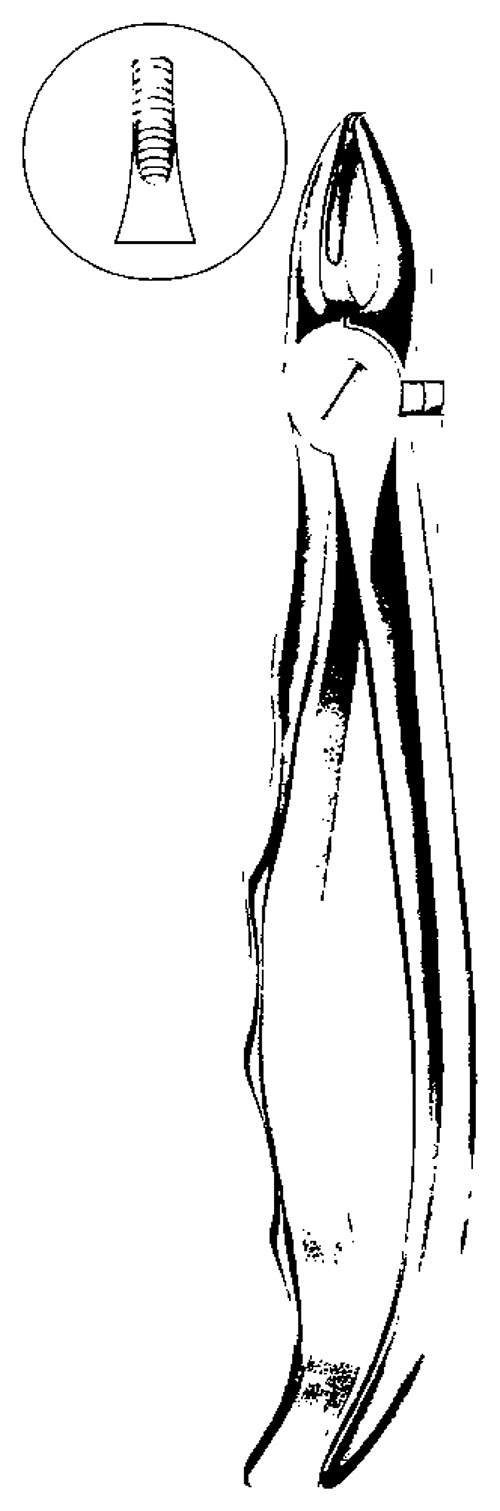 Купить Extracting Fcps Anatomic handle Fig.1 Extracting Fcps Anatomic handle Fig.1