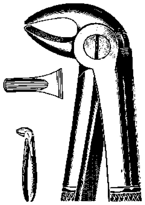 Купить Extracting Fcps Anatomic handle Fig.13 Extracting Fcps Anatomic handle Fig.13